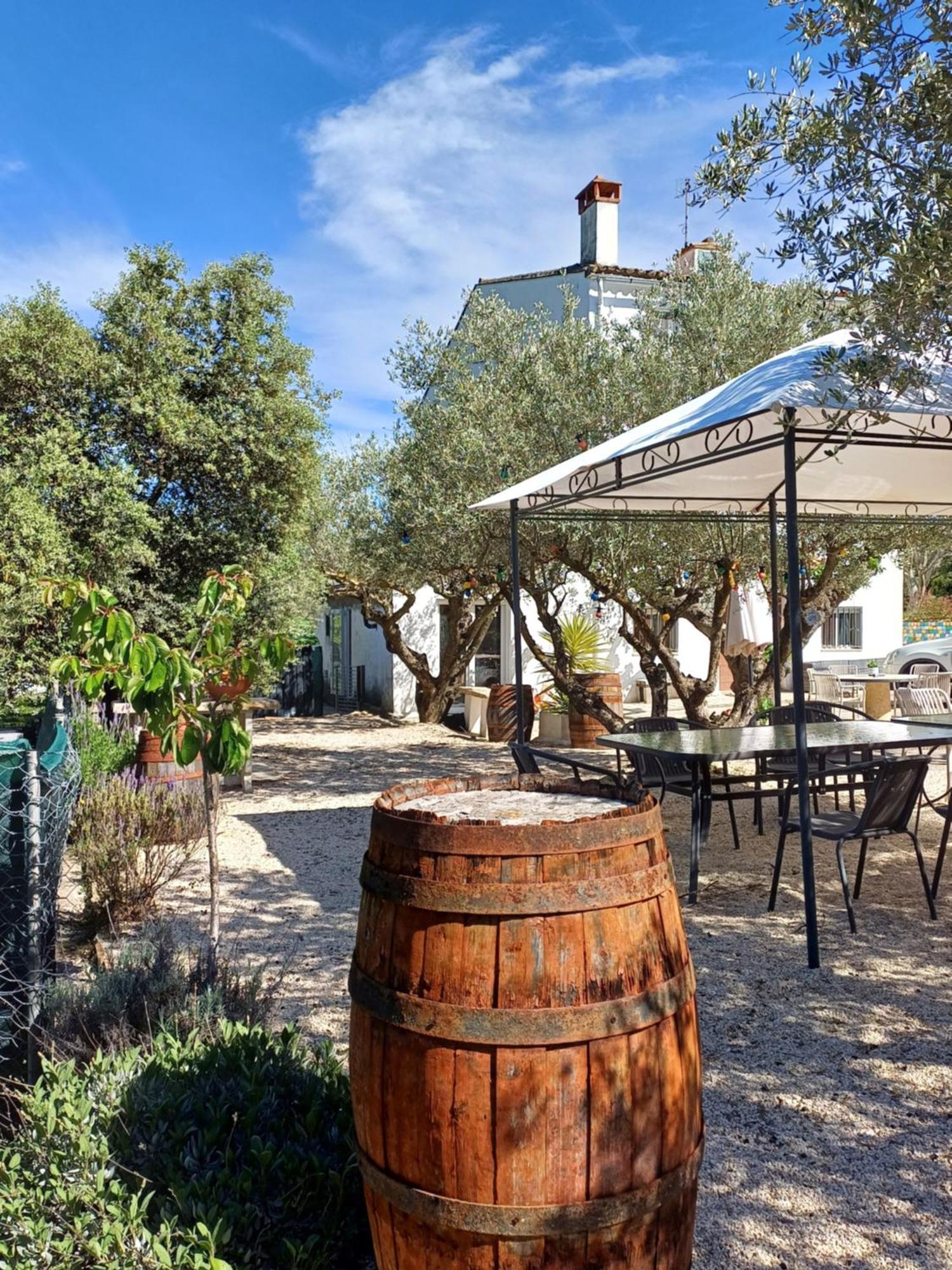 B&B Casa Vitalidad 翁蒂年特 外观 照片